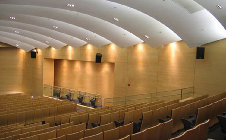 河南鄭州中學(xué)報告廳吸音板工程